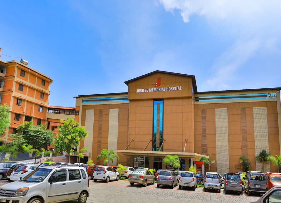 Little Flower College of Nursing Angamaly-logo