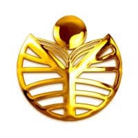 Rao's Degree College logo