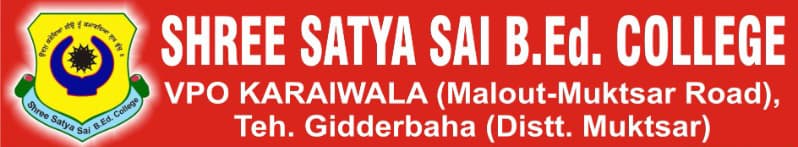 Shree Satya Sai BEd College-logo