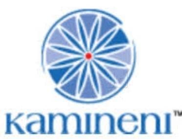 Kamineni School of Nursing-logo
