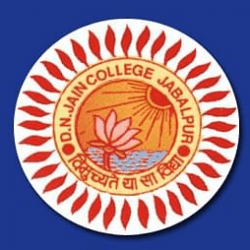 D.N. Jain College-logo