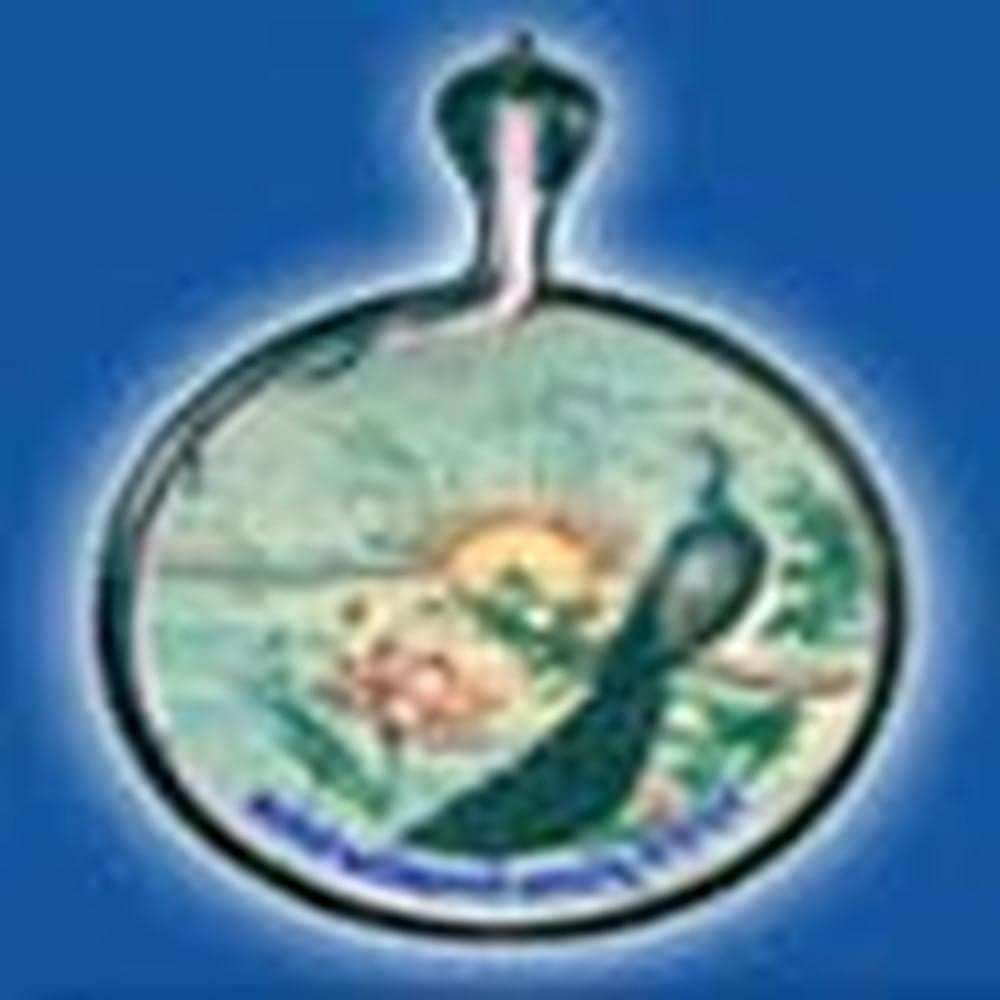 Vidya Bhawan GS Teachers College logo