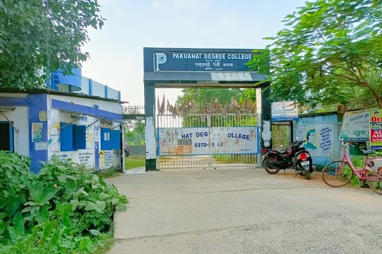 Pakuahat Degree College logo