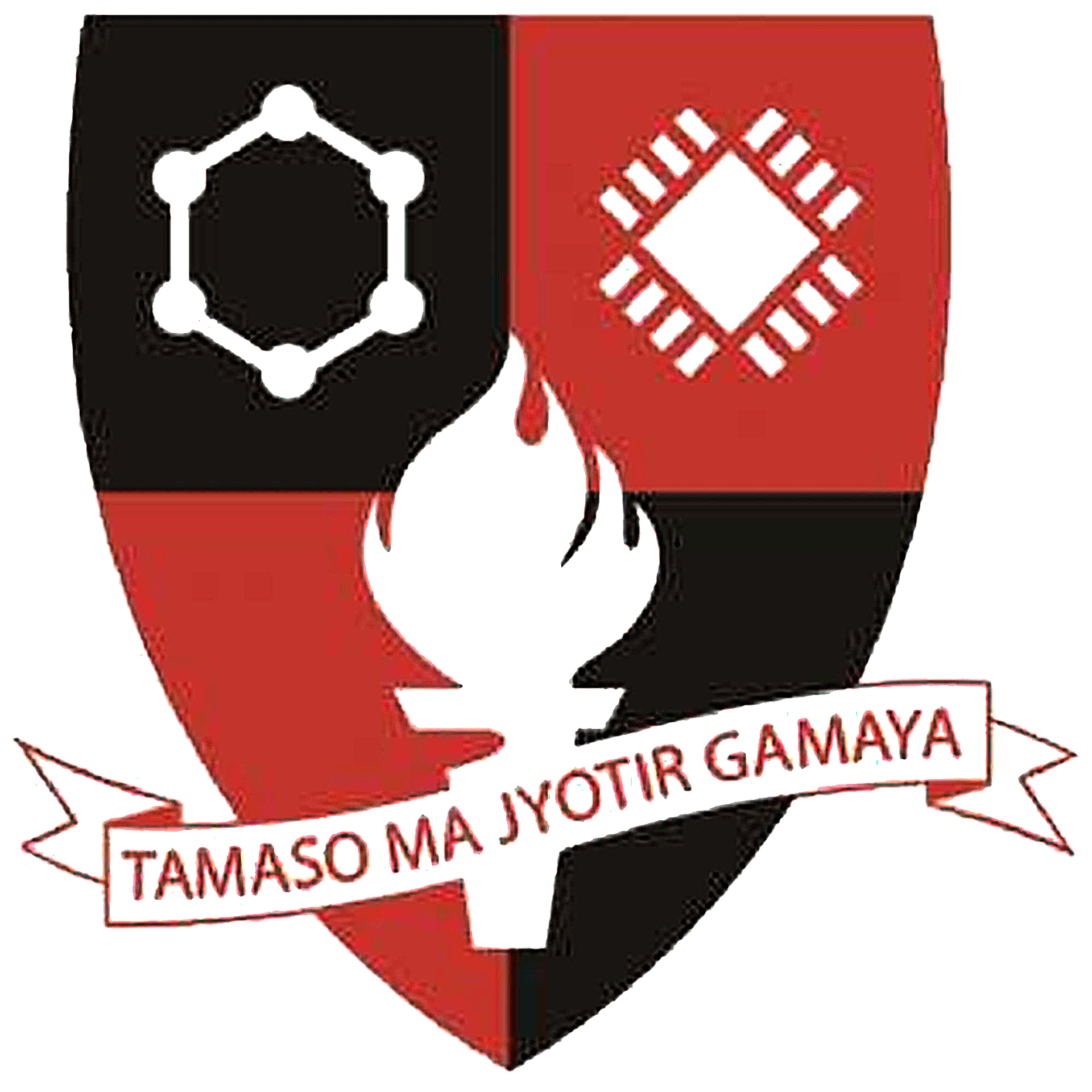 St Thomas Institute for Science and Technology-logo