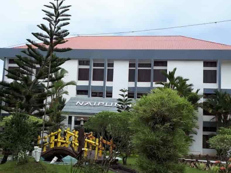 Naipunnya School of Management-logo