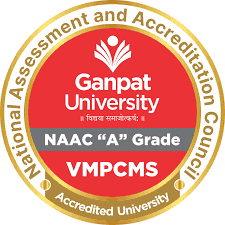 V. M. Patel Institute of Management-logo