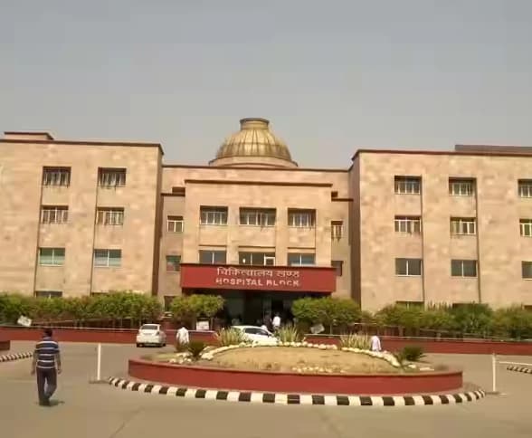 Ch. Brahm Prakash Ayurved Charak Sansthan New Delhi