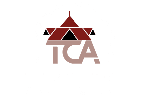 Thejus College of Architecture Vellarakkad-logo