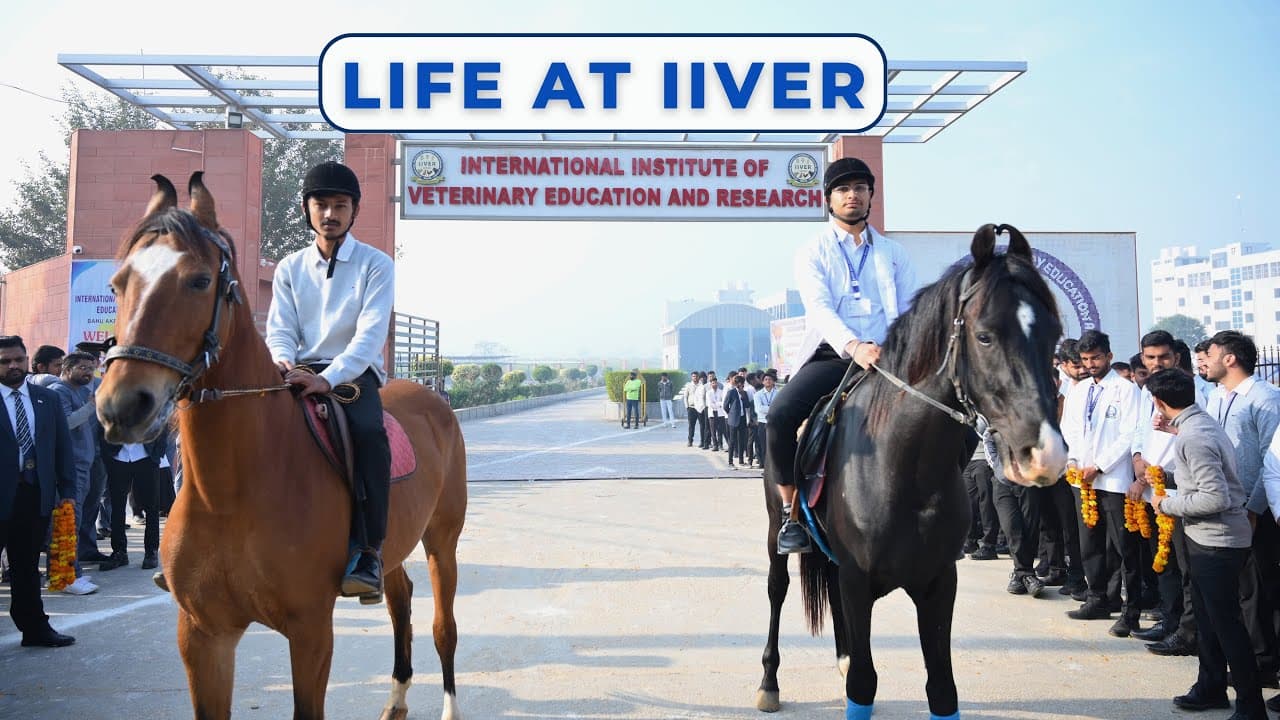 International Institute of Veterinary Education & Research-image