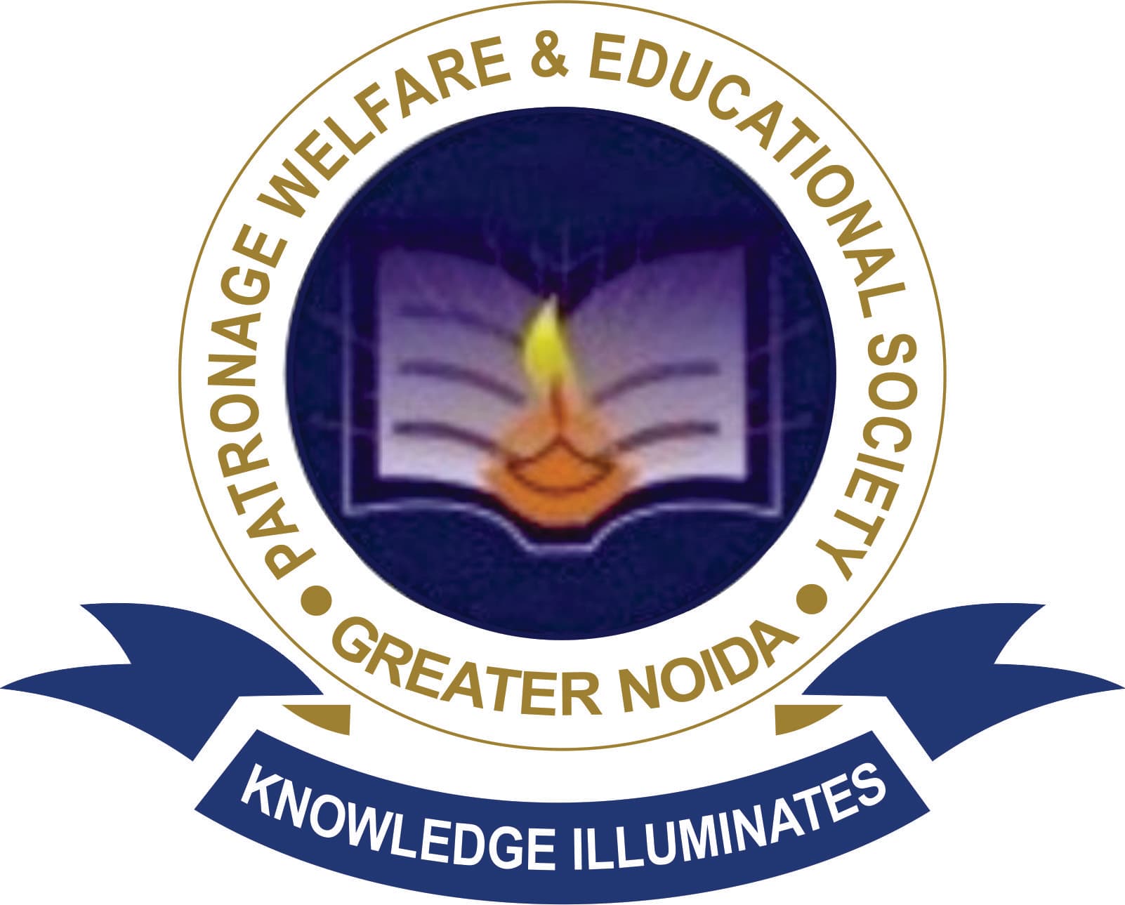 Patronage institute of professional studies-logo