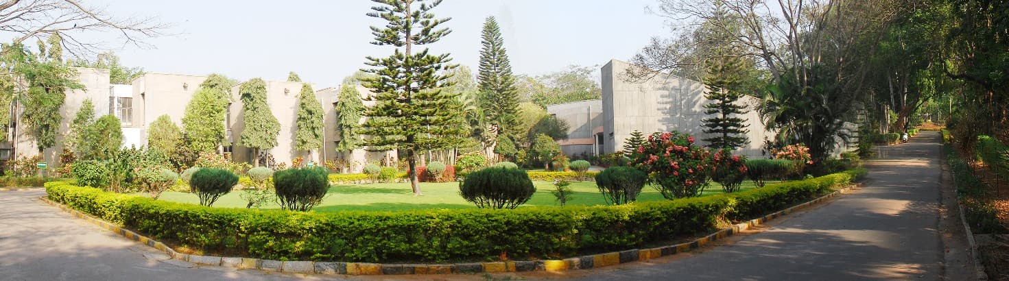 Institute for Social and Economic Change-image