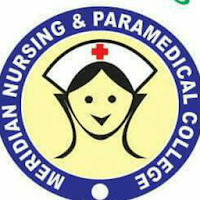 Meridian School of Nursing Education logo