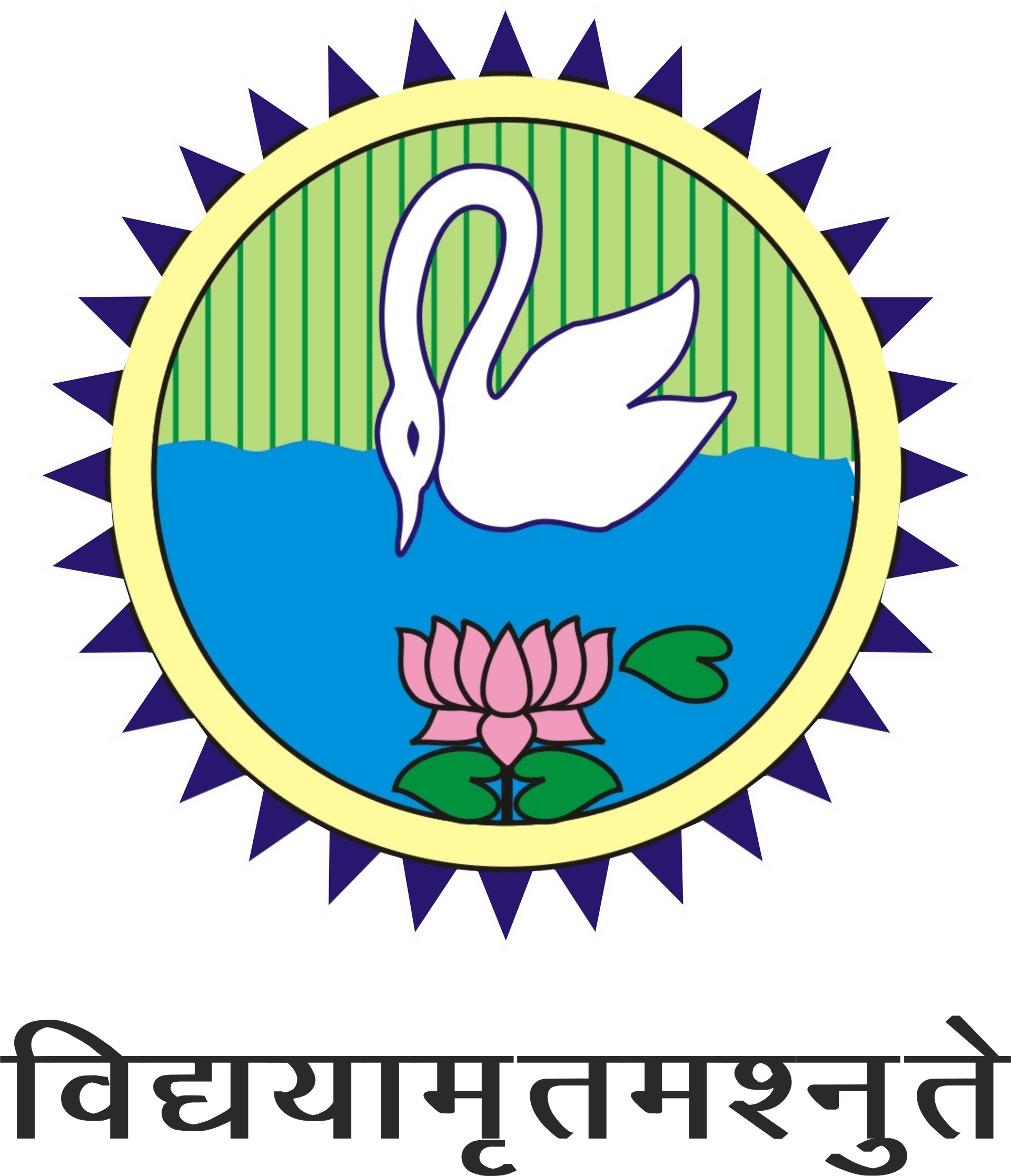 SD PG College Muzaffarnagar-logo