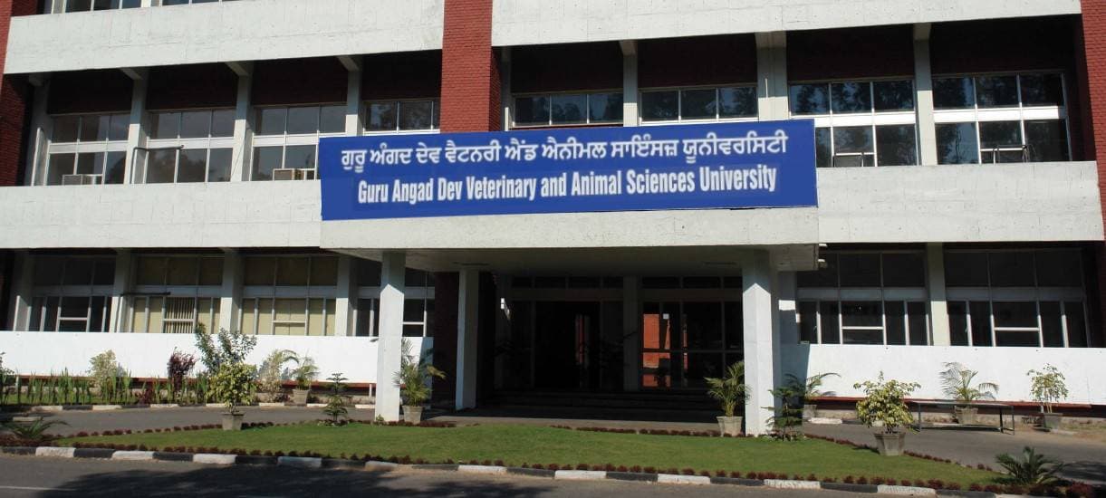 Guru Angad Dev Veterinary and Animal Sciences University-image
