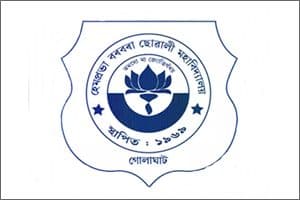 Hemo Prova Borbora Girls' College logo