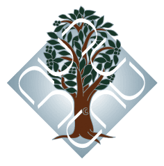 Dr. B. R. Ambedkar University Delhi, Karampura-logo