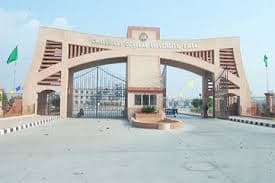 Chaudhary Devi Lal University-image