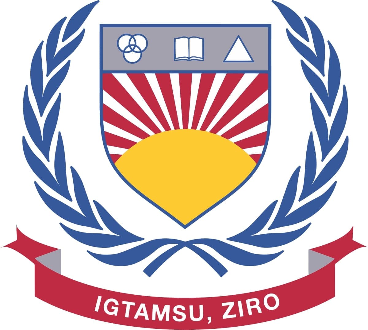 Indira Gandhi Technological And Medical Sciences University-logo