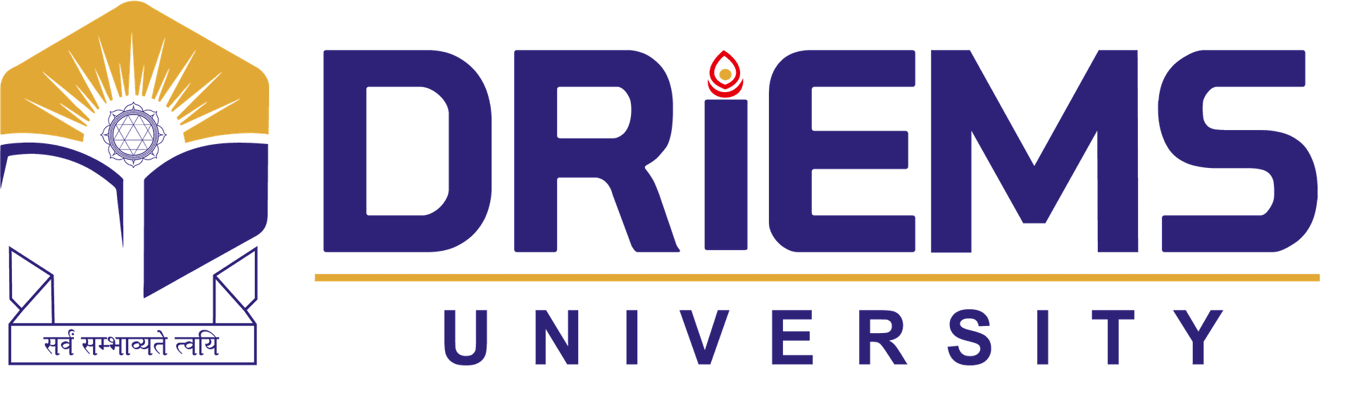 Dhaneswar Rath Institute of Engineering and Management Studies-logo