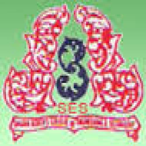 Shadan Degree College For Women logo