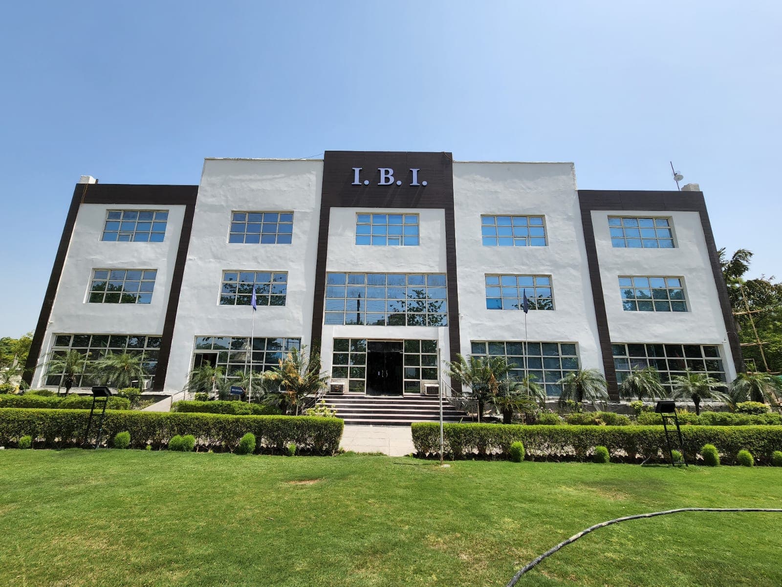 I Business Institute