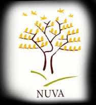 Nuva College of Engineering & Technology-logo