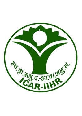 Indian Institute of Horticultural Research logo