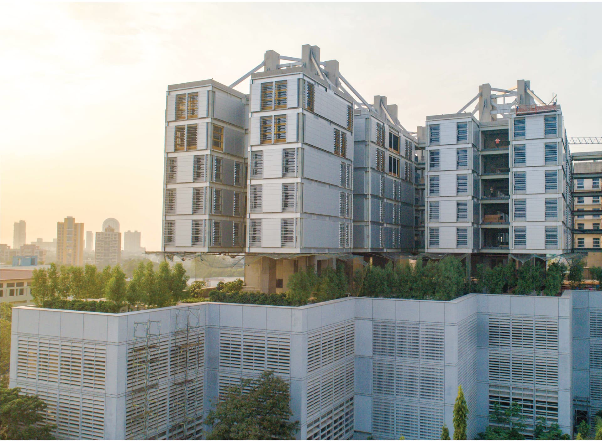 DY Patil University, Vijay Patil School of Management-image