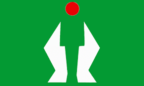 Fortis Institute of Nursing logo
