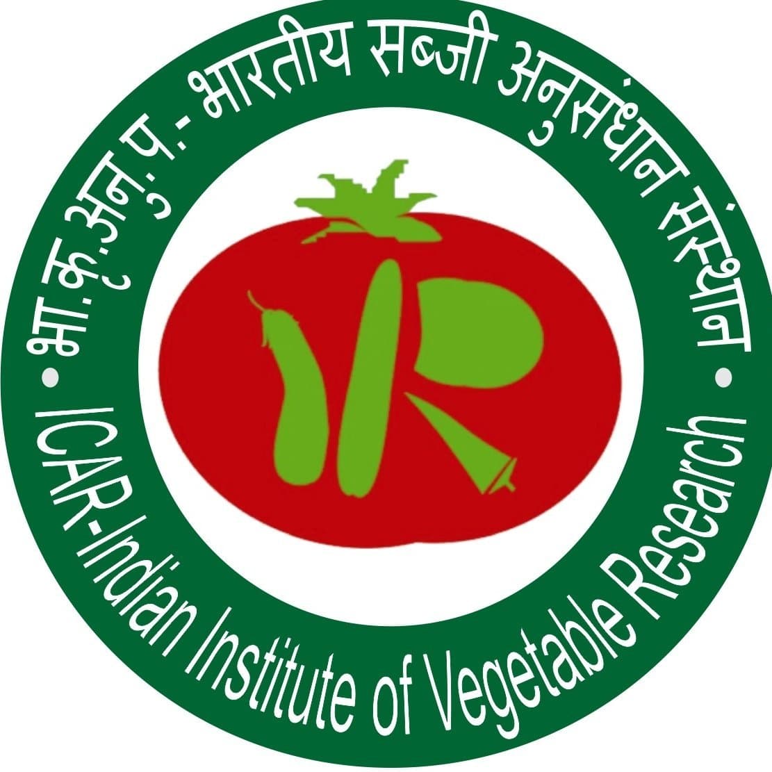 Indian Institute of Vegetable Research-logo