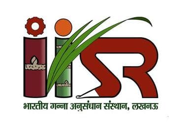 Indian Institute of Sugarcane Research logo