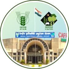 National Research Centre for Agroforestry logo