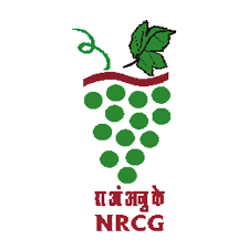 National Research Centre for Grapes Manjri-logo