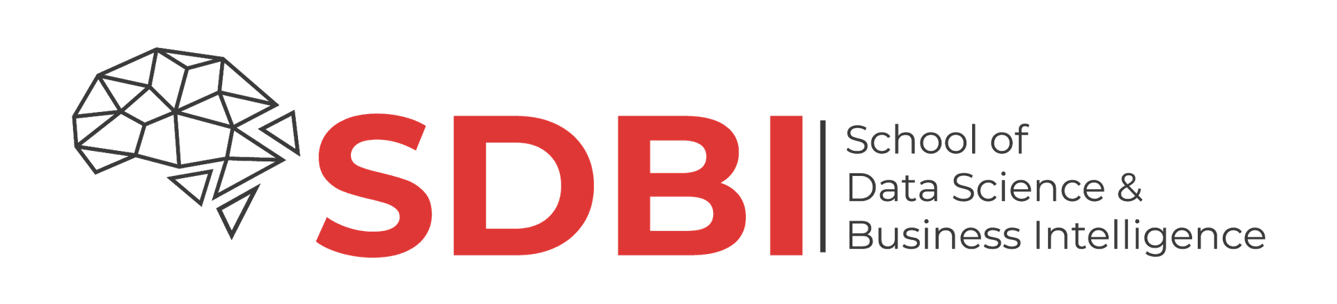 School of Data Science & Business Intelligence logo
