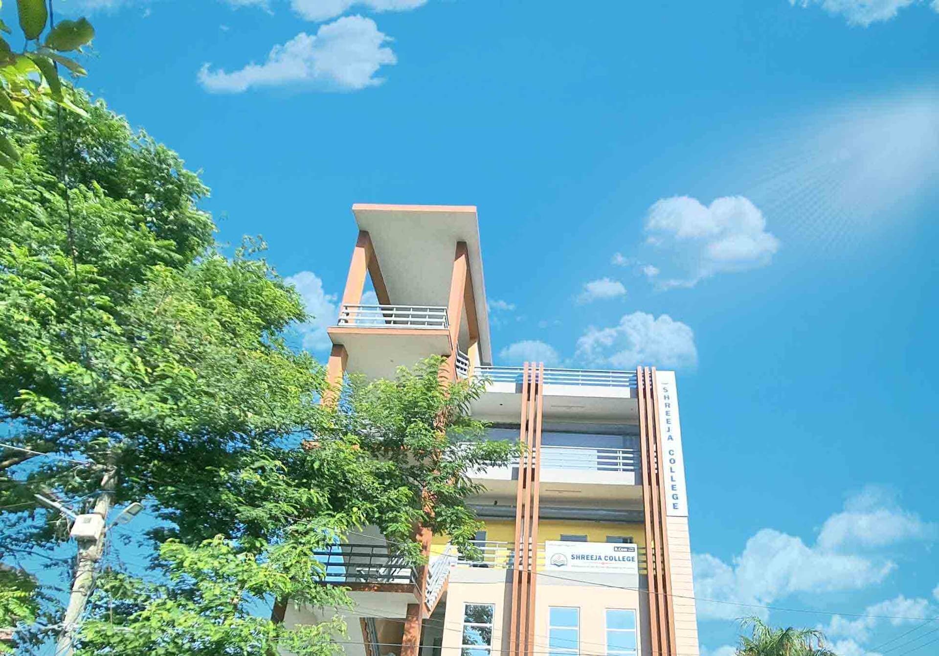 Shreeja College