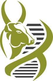 National Institute of Animal Biotechnology-logo
