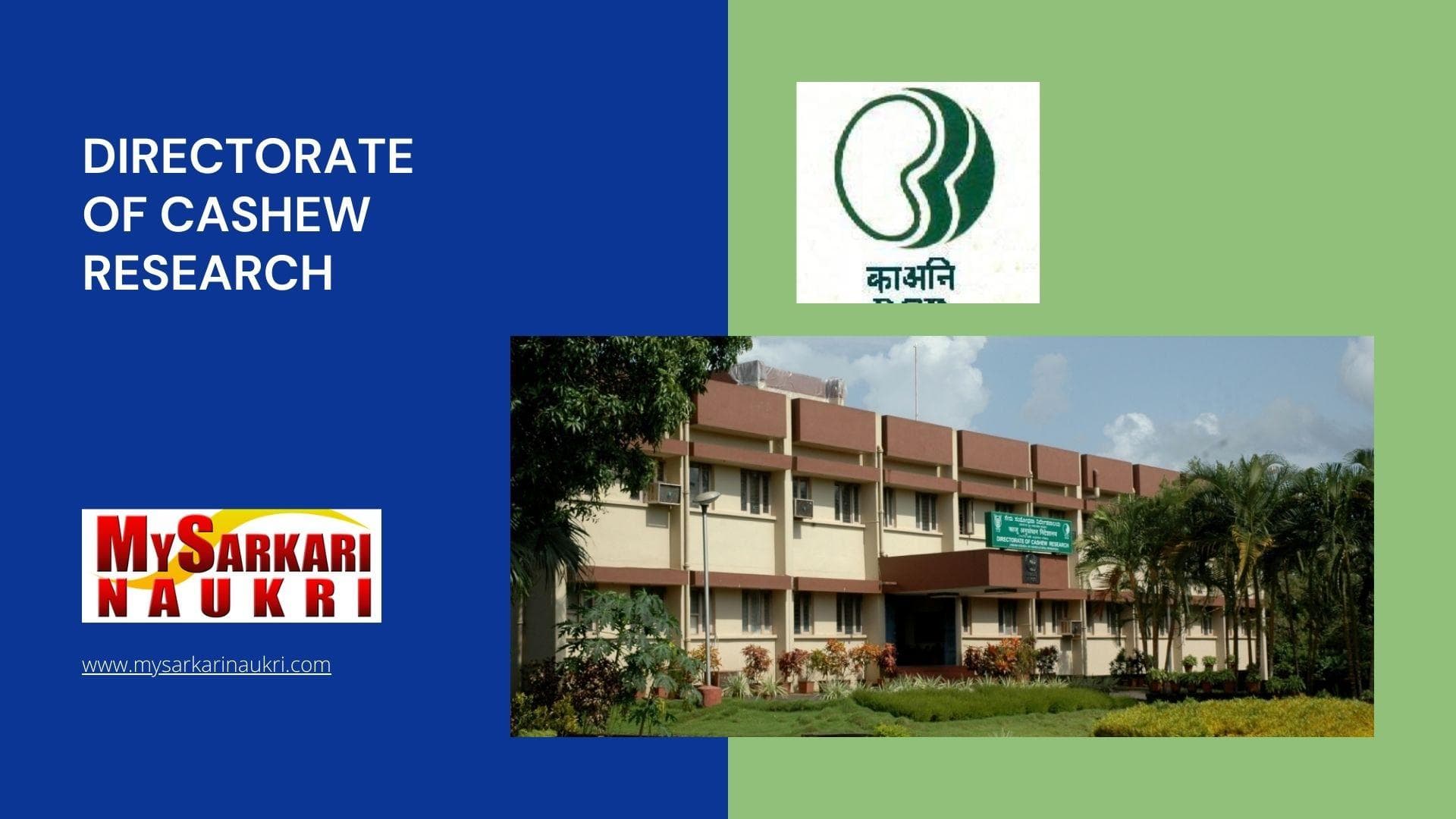 National Research Centre for Cashew logo