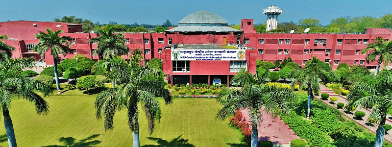 Central Institute for Subtropical Horticulture Lucknow