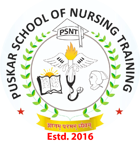 Pushkar Group School of Nursing Traning logo