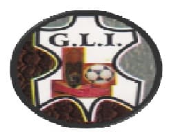 Government Leather Institute-logo