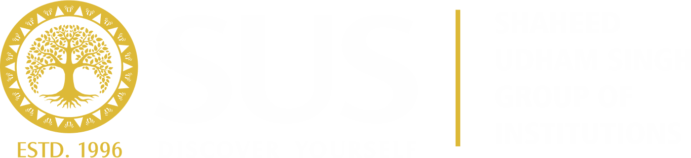 Shaheed Udham Singh Institute of Computer logo