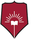 DY Patil University Online logo