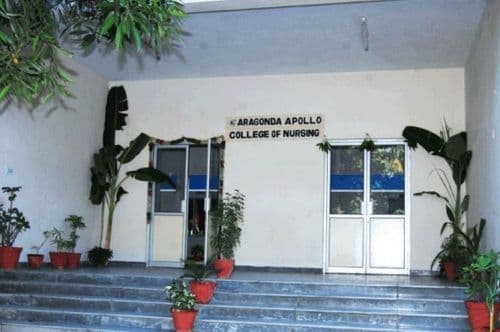 Aragonda Apollo College of Nursing-image