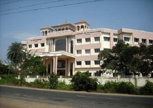 Governmernt Vellore Medical College-image