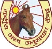 National Research Centre on Equines-logo